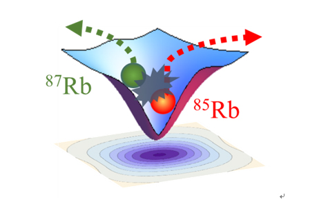 两个异核的原子在光阱中碰撞损失的示意图